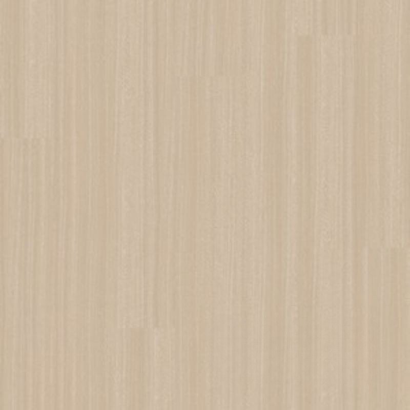 CARVALHO STUDIO